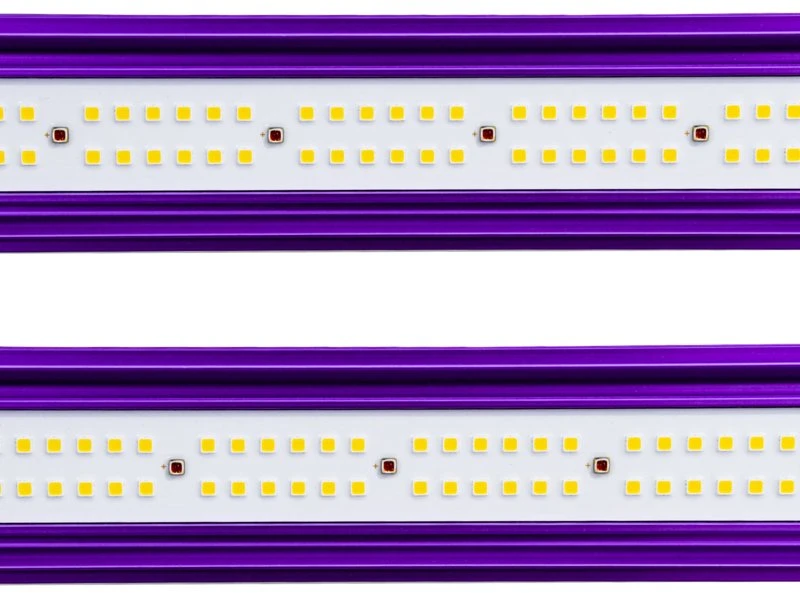 Lumatek Zeus 600W PRO LED 2.9 - Image 6