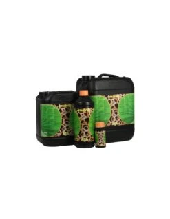 Atami Ata Zyme – 5L