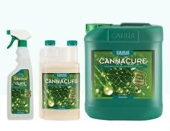 CANNACure – 5L