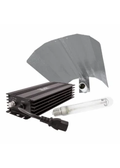 Lumii Black 600W Complete Set