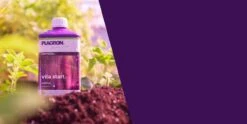 Plagron Vita Start – 250ml