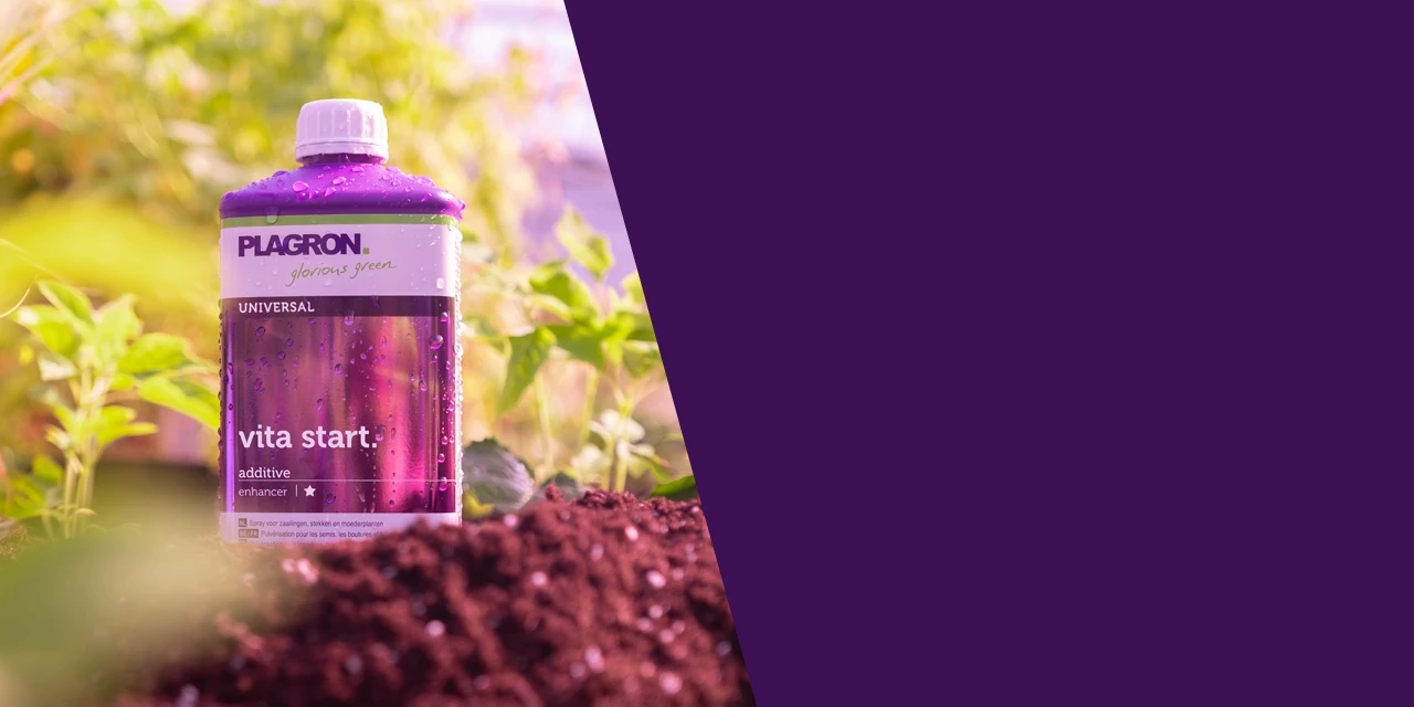 Plagron Vita Start – 250ml